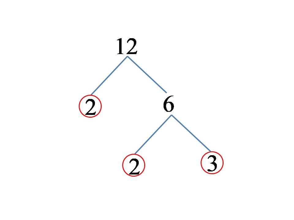 Fattorizzare il numero 12 in numeri primi